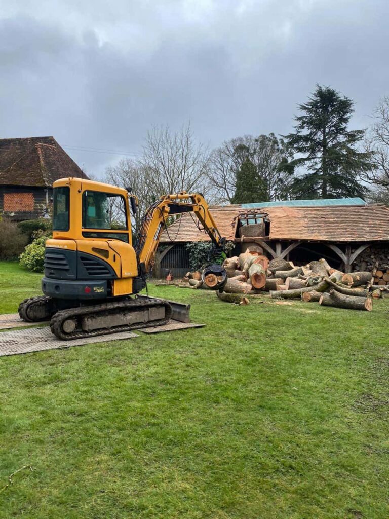 This is a photo of a tree which has grown through the roof of a barn that is being cut down and removed. There is a digger that is removing sections of the tree as well. Shortstown Tree Surgeons