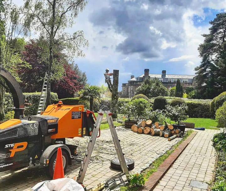 This is a photo of a tree being felled. A tree surgeon is currently removing the last section, the logs are stacked in a pile. Shortstown Tree Surgeons