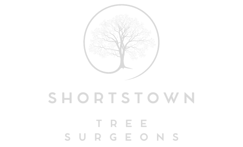 Shortstown Tree Surgeons